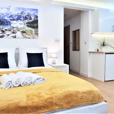 Vip Apartamenty Tetmajera Centrum Zakopane Exterior foto