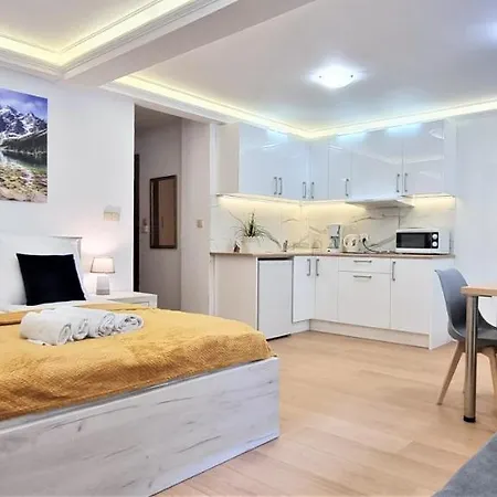 Vip Apartamenty Tetmajera Centrum Zakopane Exterior foto